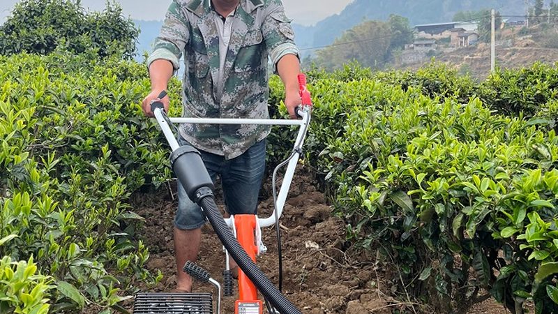 河南联合收割机选购：如何规避常见误区**